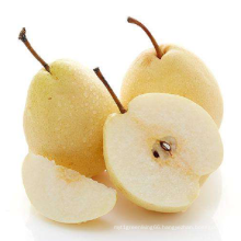 High Quality Chinese 2021 crop sweet and juicy Ya pear